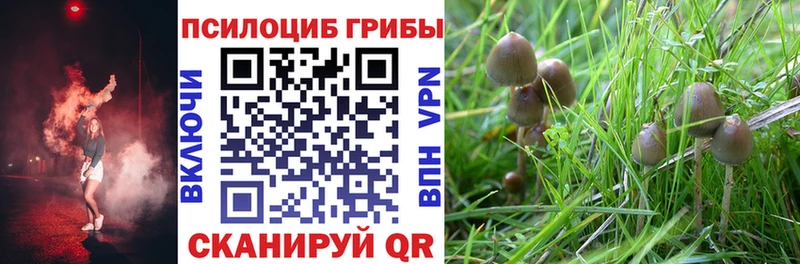Купить  Северо-Курильск  Галлюциногенные грибы мухоморы 